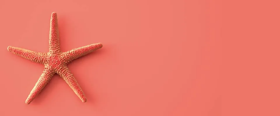 Spicy Coral Pink