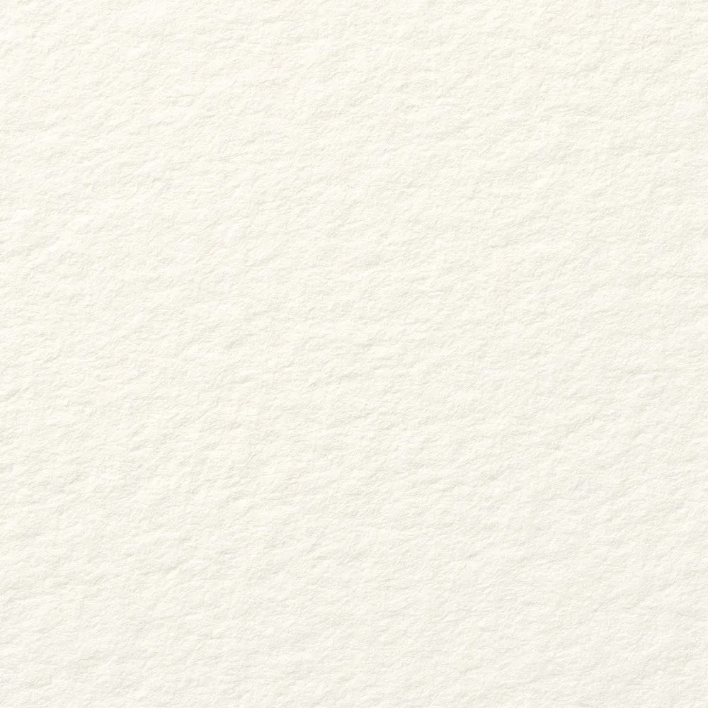 サマセット　テクスチャ―　ソフトホワイト　