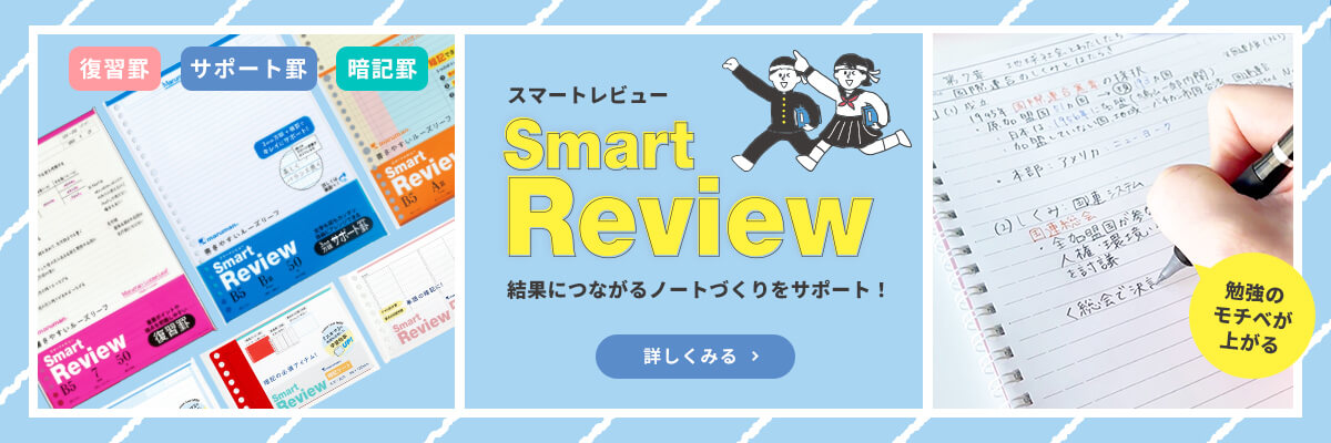 スマートレビュー特設サイト